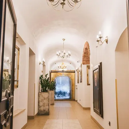 & Ventus Rosa 비엘스코-비아와