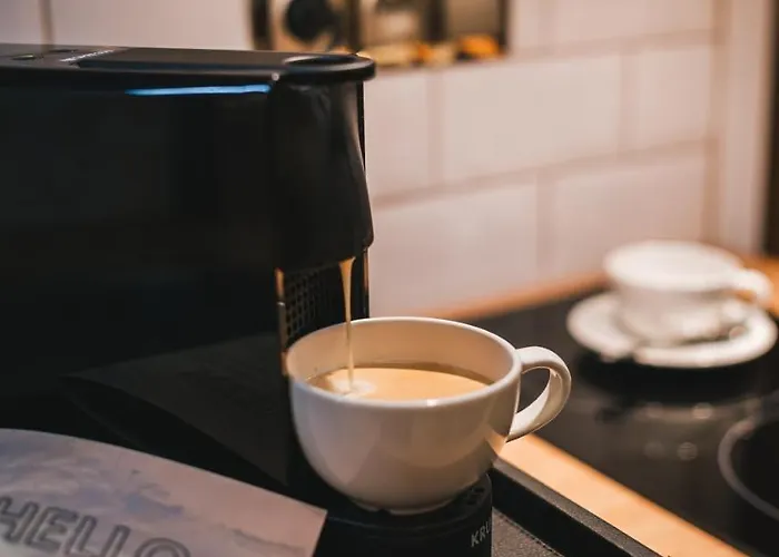 Отель & Ventus Rosa